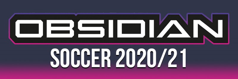 Obsidian Soccer 2020/21 Trading Cards - Banner