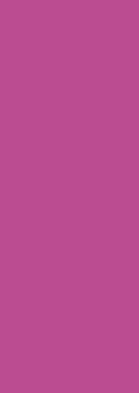 Panini Premier League Adrenalyn XL 2020/21 - Tin - Balken Pink