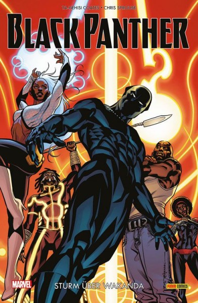 Black Panther 2