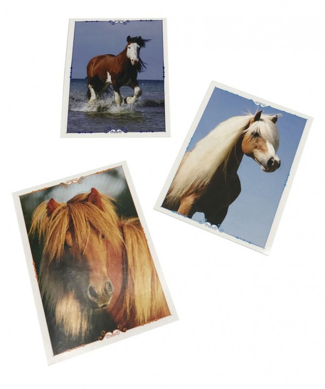 Pferde Sticker - Eine Reise durch die Welt der Düfte - Ponys Beispiel
