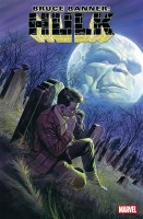 Bruce Banner: Hulk 4 Cover