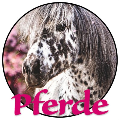 Pferde Stickerkollektion - Reise durch die Welt der Farben