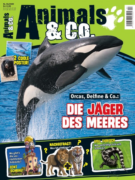 Animals & Co. Magazin 04/20 Cover
