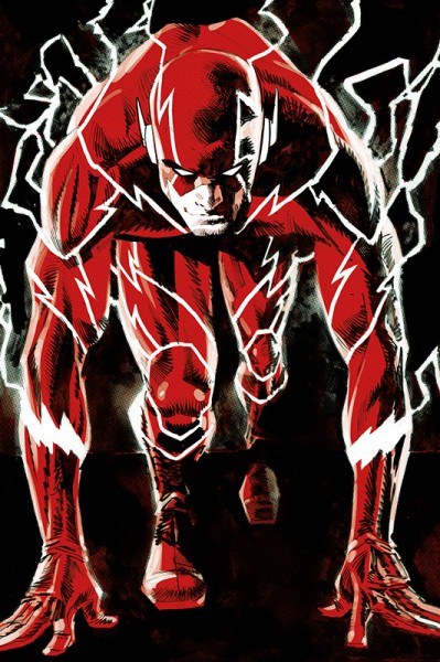 Flash: Das erste Jahr Hardcover