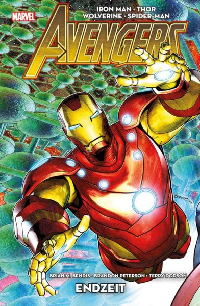 Avengers 6: Endzeit