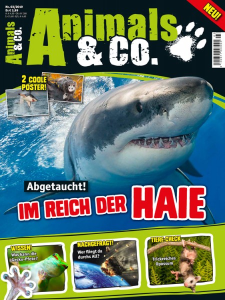 Animals & Co. 03/19