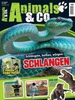 Animals & Co. Magazin 05/20 Cover