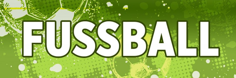 Panini - Geschenktipps - Sport - Fußball - Banner