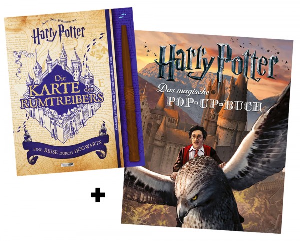 Harry Potter Film-Bundle