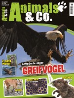 Animals & Co. Magazin 03/20