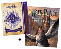 Harry Potter Film-Bundle