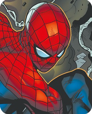 media/image/heldenportraits-rechteck-spiderman.jpg